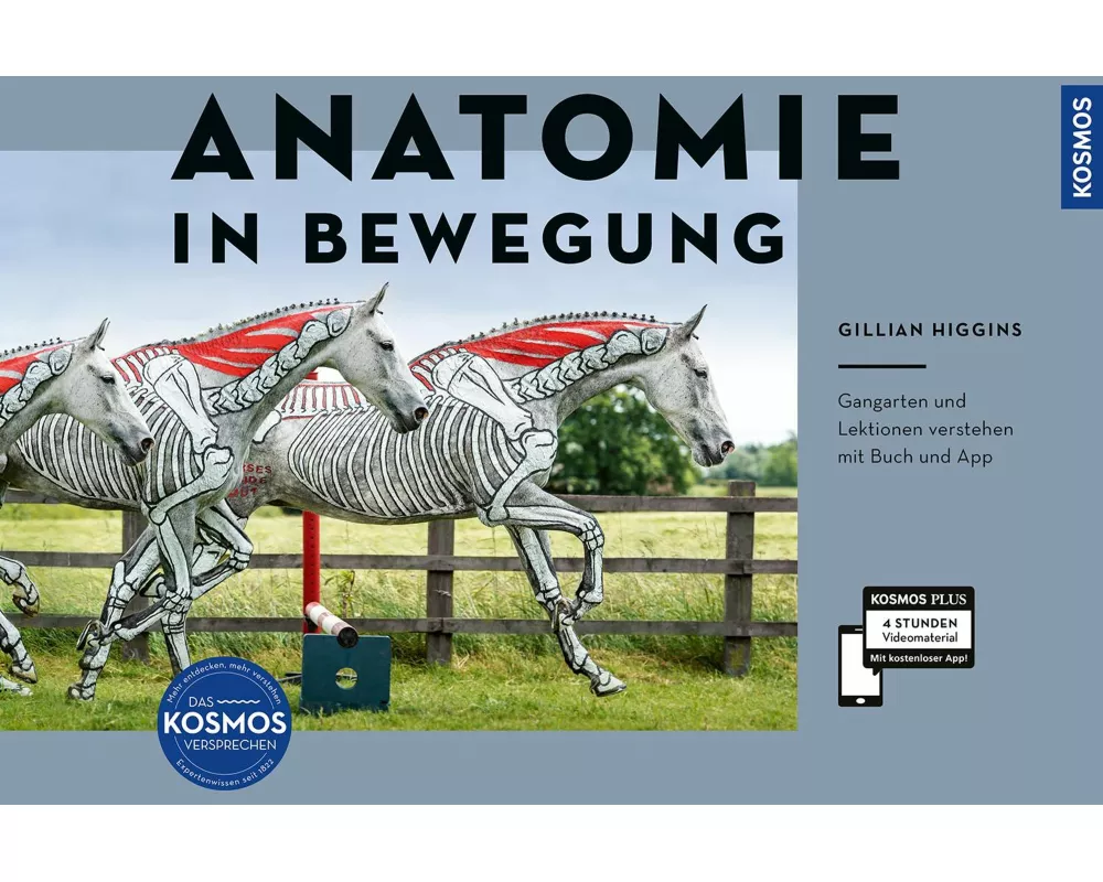 Anatomie in Bewegung