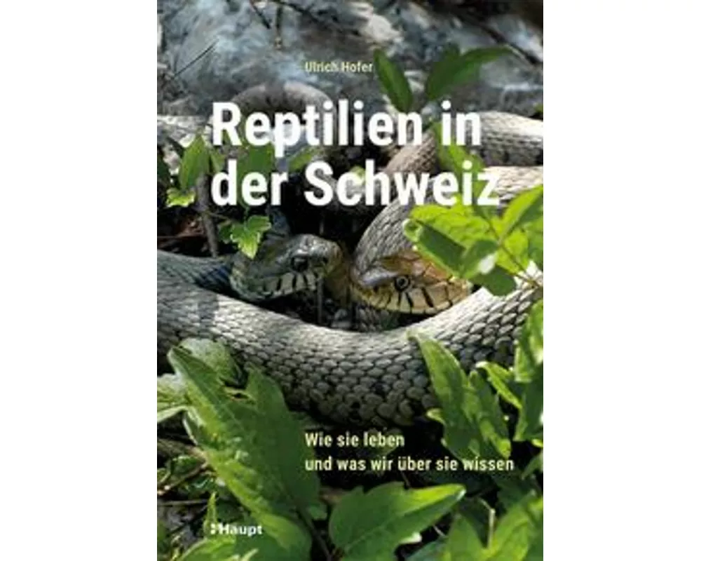 Reptilien in der Schweiz