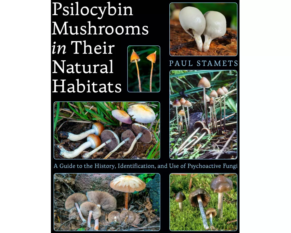 Psilocybin Mushrooms in Their Natural Habitats