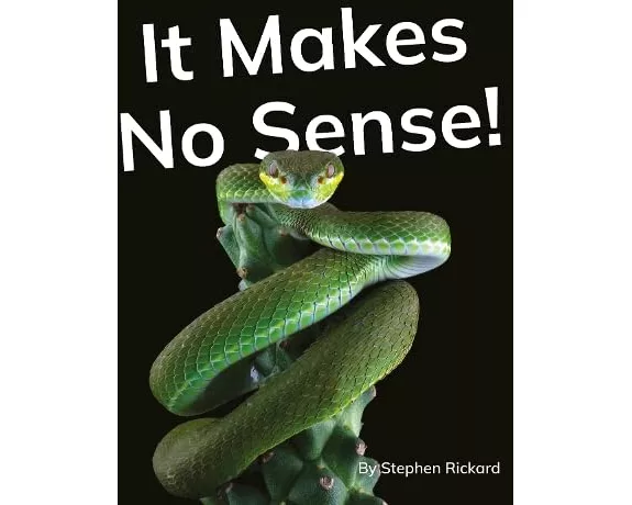 It Makes No Sense!