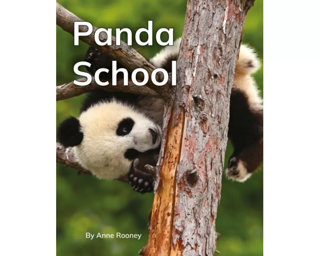 Panda School