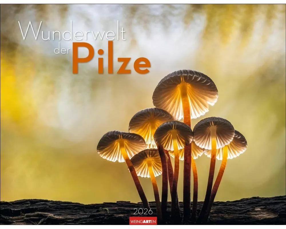 Wunderwelt der Pilze Kalender 2026