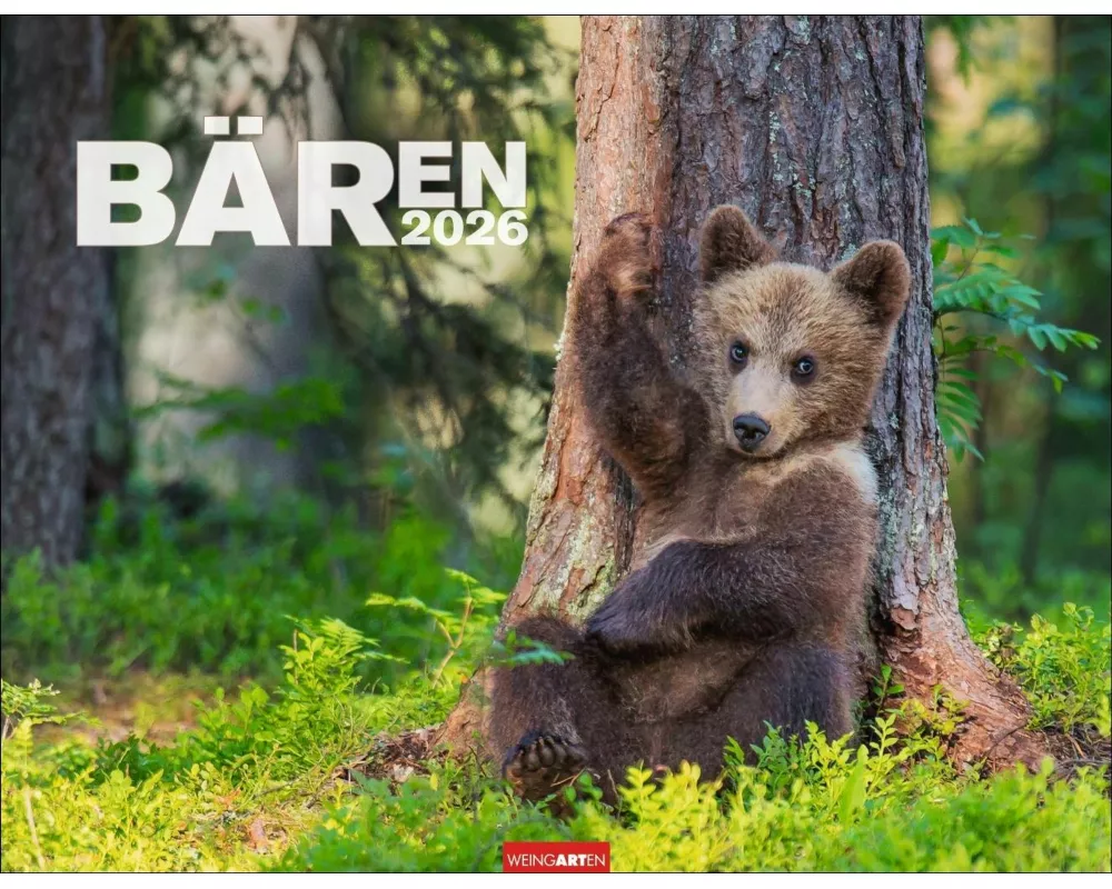 Bären Kalender 2026