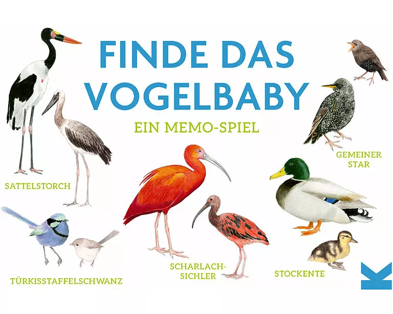 Finde das Vogelbaby
