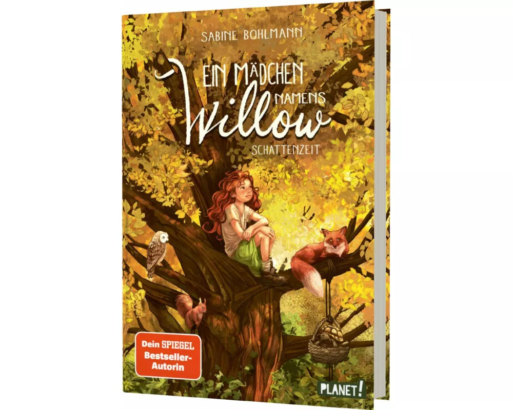 Ein Mädchen namens Willow 5: Schattenzeit