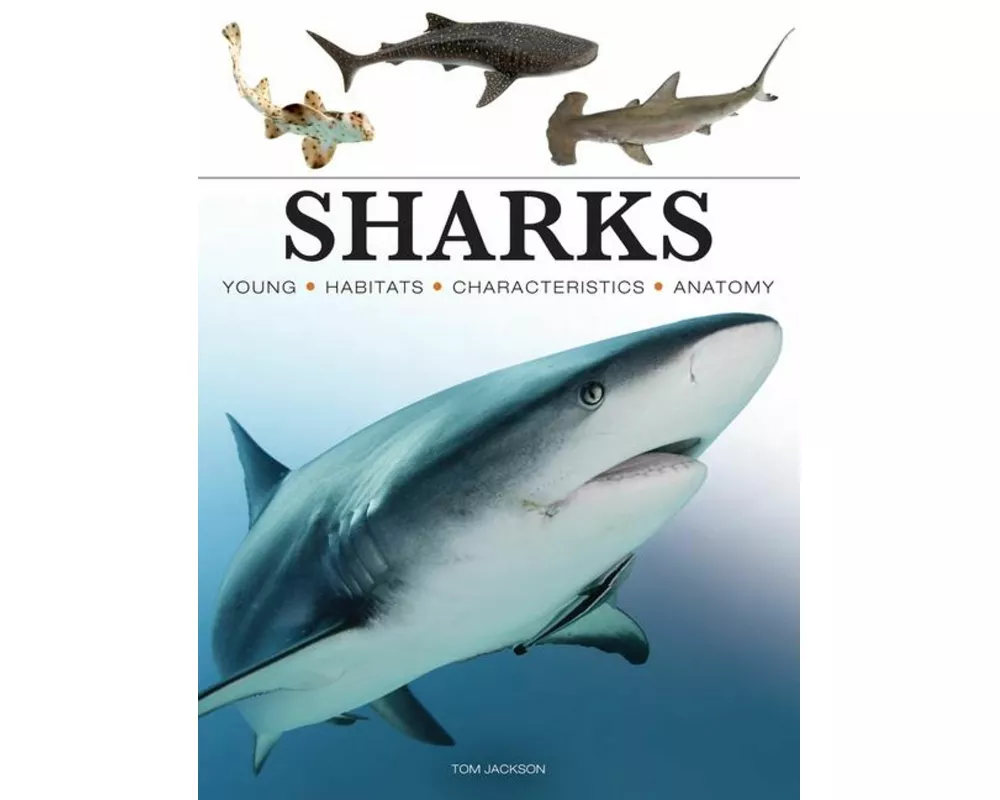 Sharks & Underwater Predators