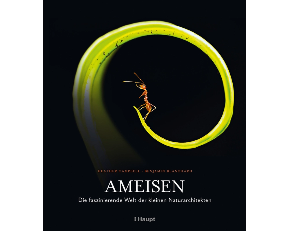 Ameisen