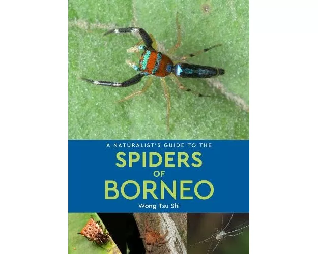 A Naturalist's Guide to the Spiders of Borneo