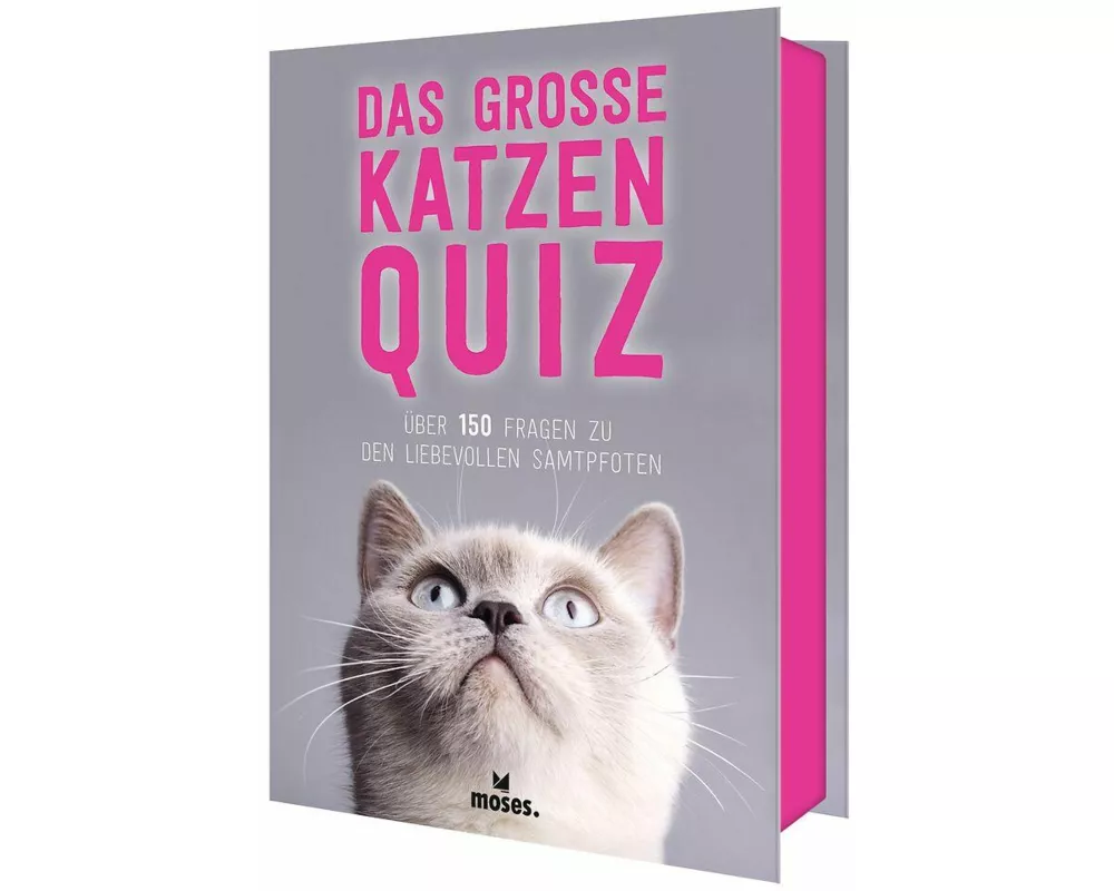 Das grosse Katzen Quiz
