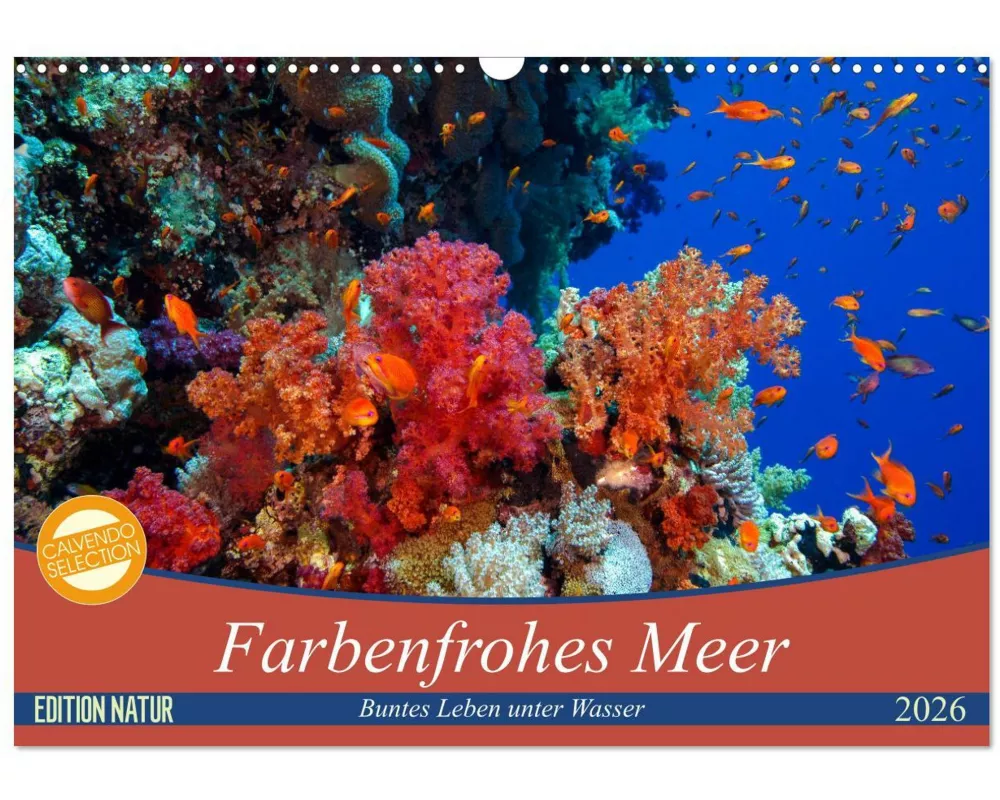 Farbenfrohes Meer (Wandkalender 2026 DIN A3 quer), CALVENDO Monatskalender