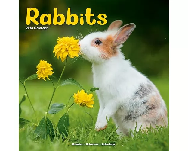 Rabbits Calendar 2026 Square Animal Wall Calendar - 16 Month