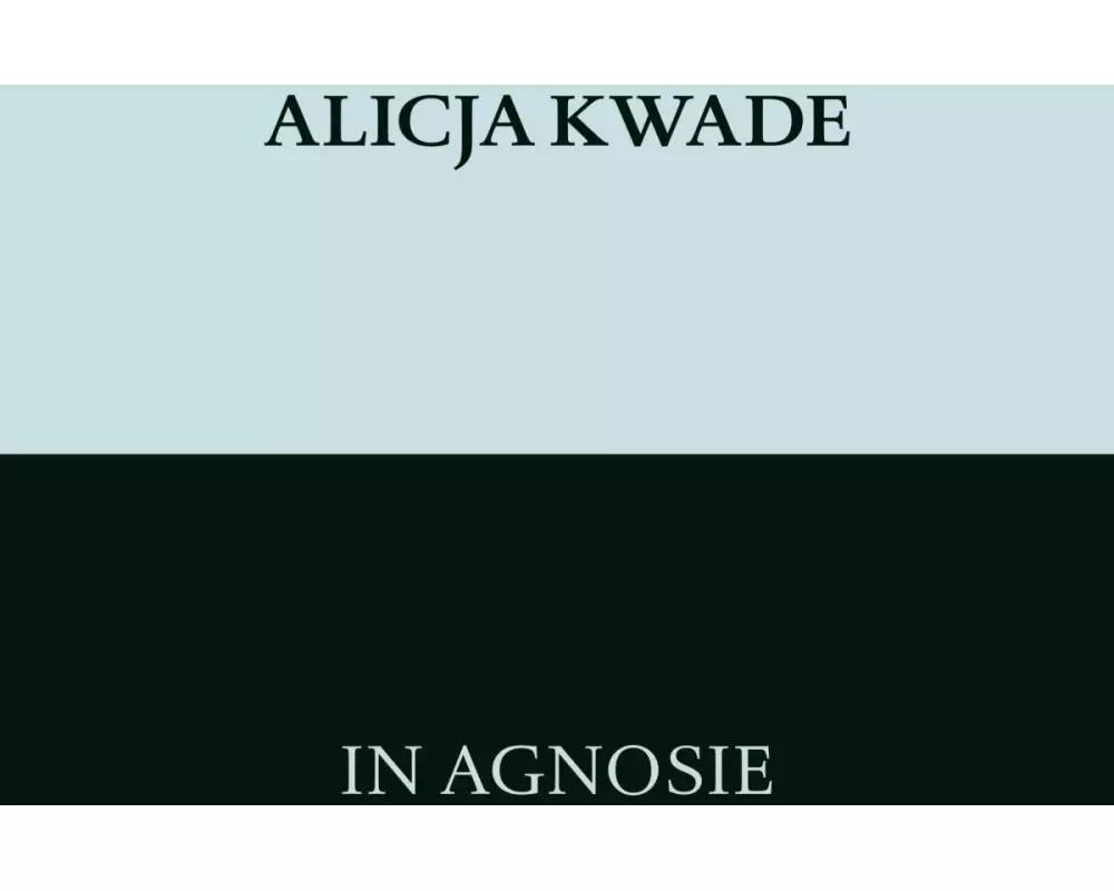 Alicja Kwade. In Agnosie