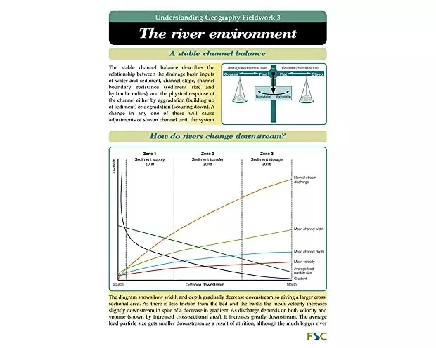 The River Environment