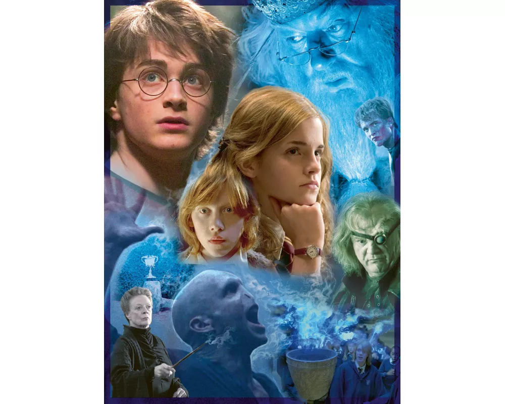 Erwachsenenpuzzle 500 Teile - Harry Potter in Hogwarts