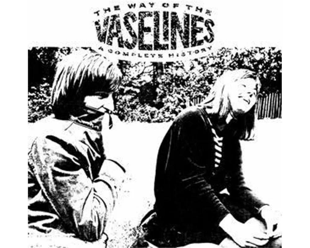 The Way of the Vaselines - A Complete History