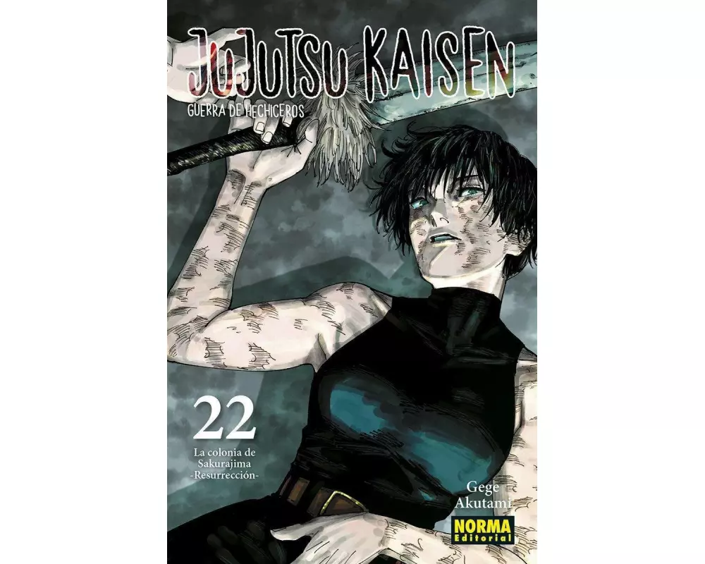 Jujutsu Kaisen 22