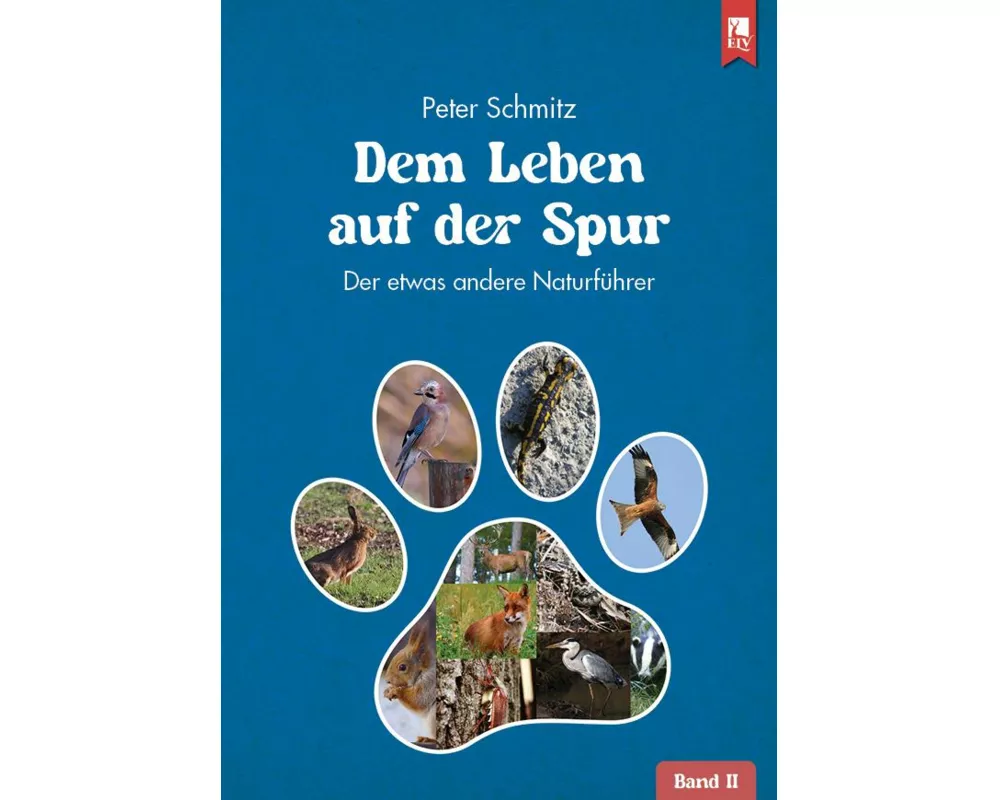 Dem Leben auf der Spur - Band 2