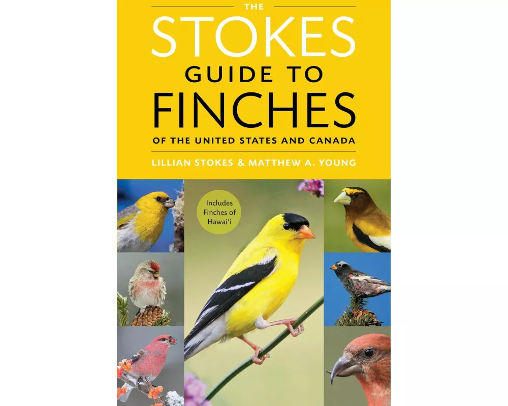 The Stokes Guide to Finches of the United States and Canada