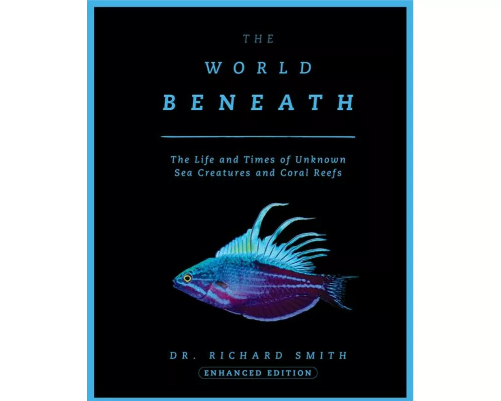 The World Beneath