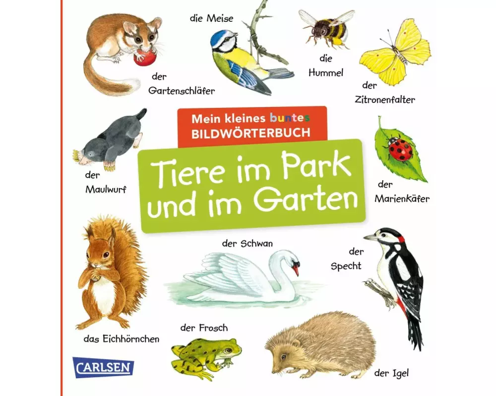 Mein kleines buntes Bildwörterbuch: Tiere im Park und im Garten