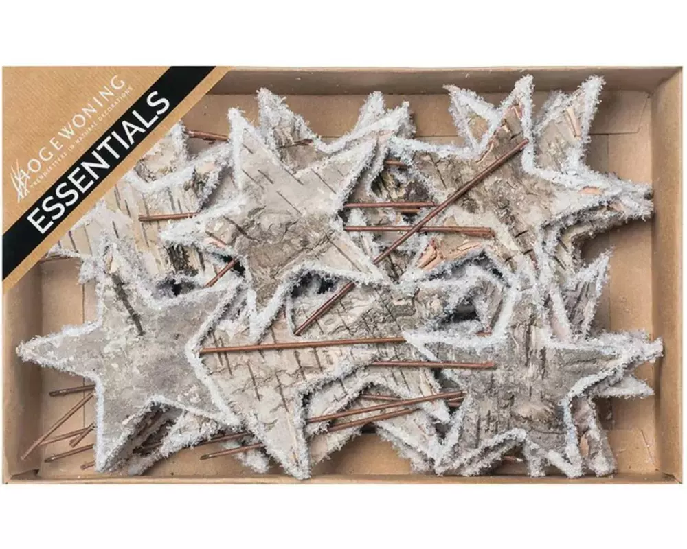 CHALET Deko Birkensterne auf Draht 30 Stück