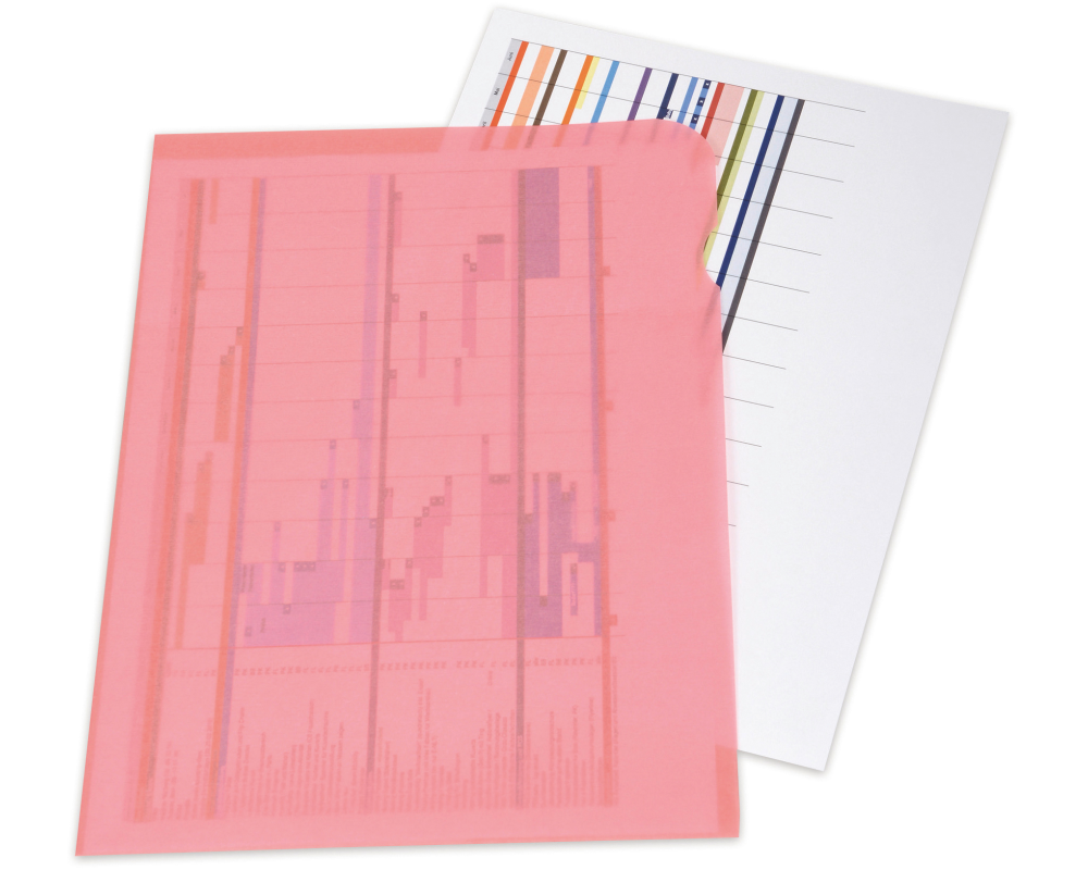 ELCO Sichtmappe Ordo A4 73696.94 transparent, rot 10 Stück