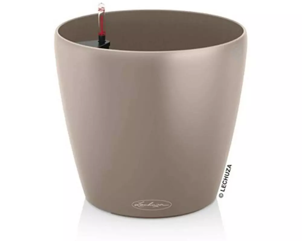 Lechuza CLASSICO Color 28 Sandbraun