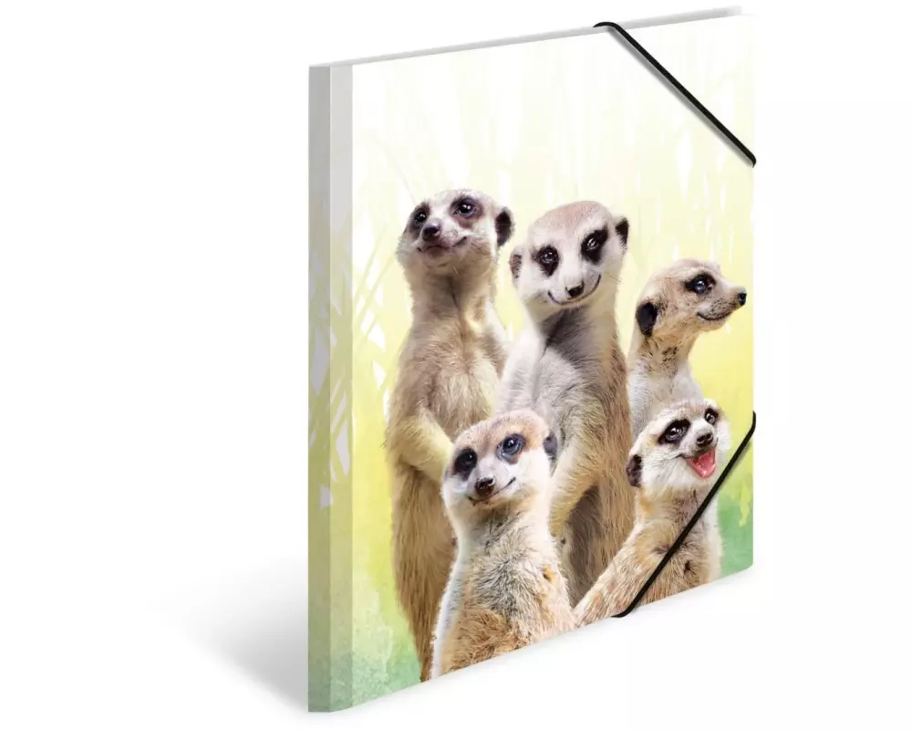 HERMA Gummibandmappe Erdmännchen A4, Mehrfarbig