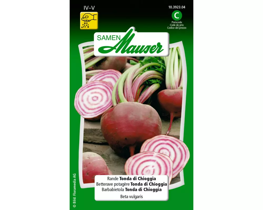 Samen Mauser Samen Alte Sorte Rande Tonda di Chioggia