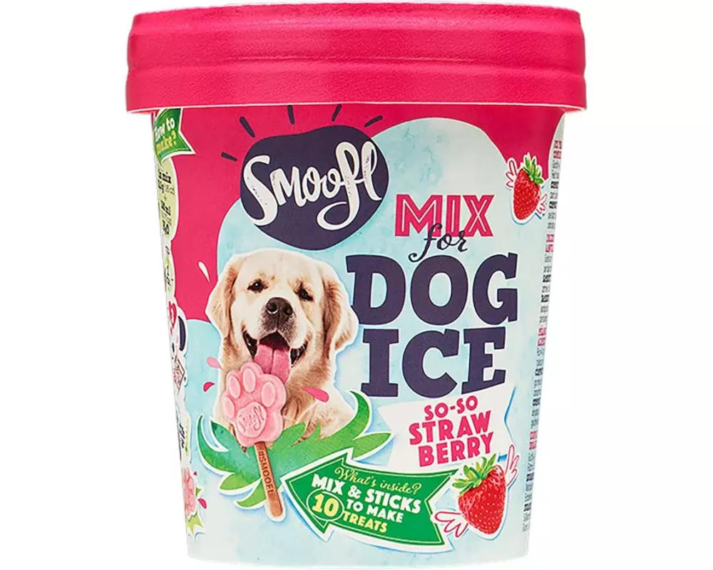 Smoofl Erdbeereis 160 g