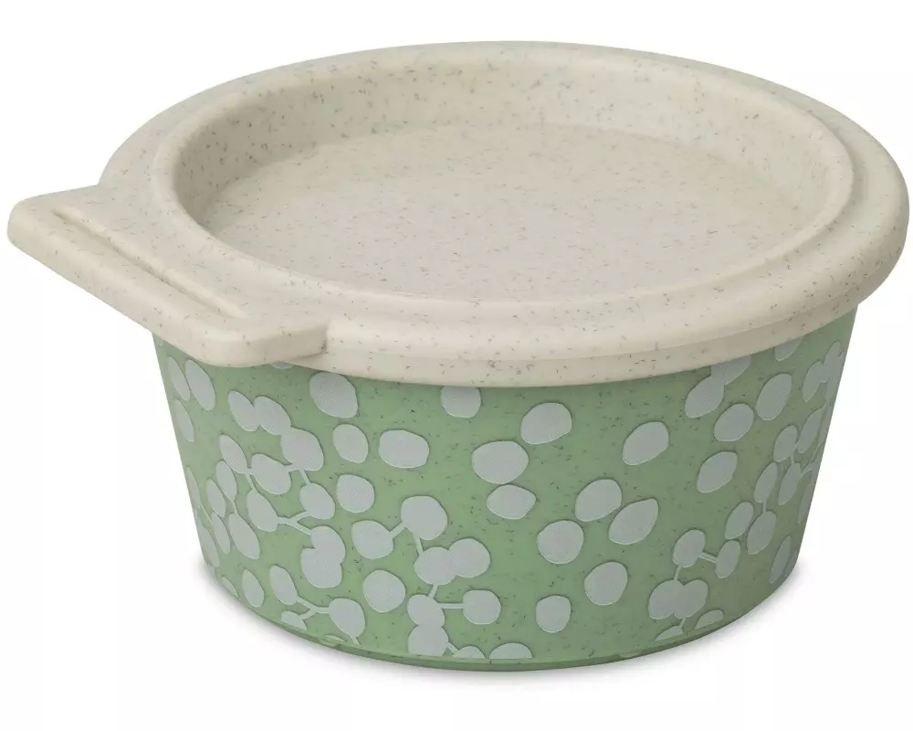 Koziol Blomster Box Dot 1 Stück, Grün