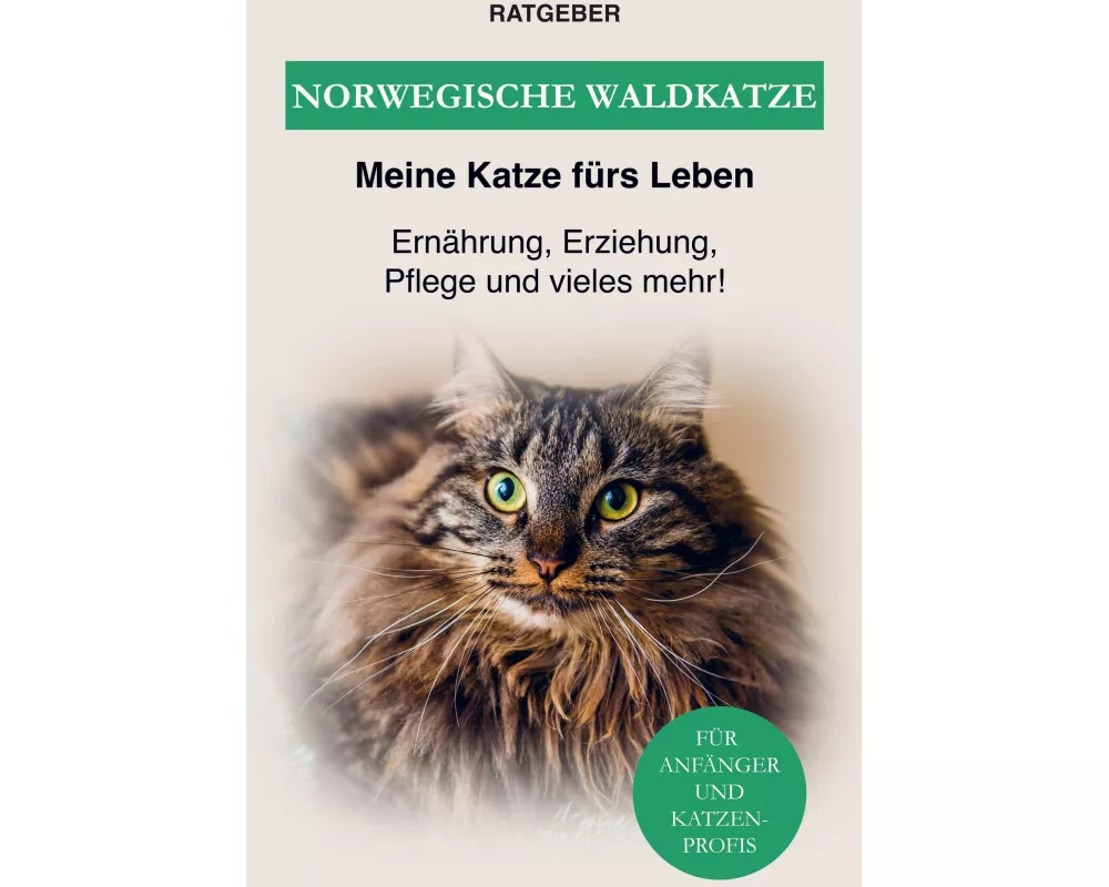 Norwegische Waldkatze