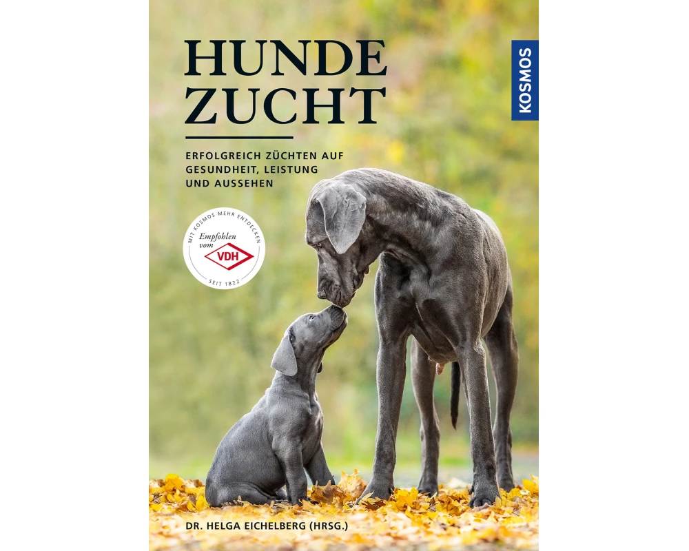 Hundezucht