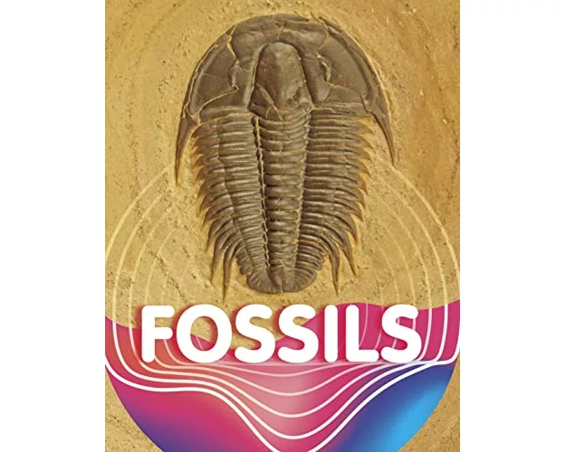 Fossils