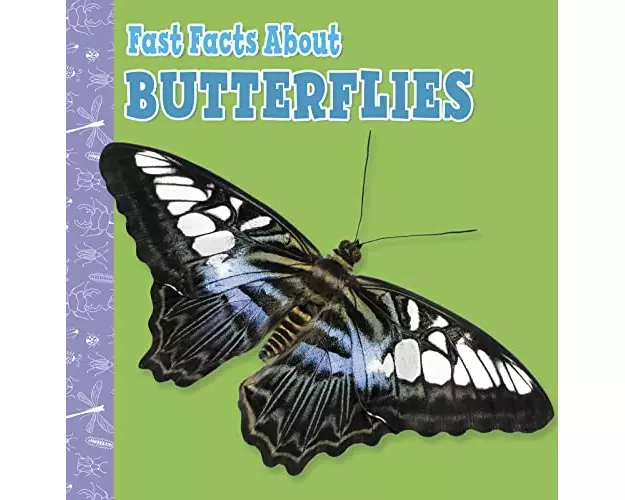Fast Facts About Butterflies