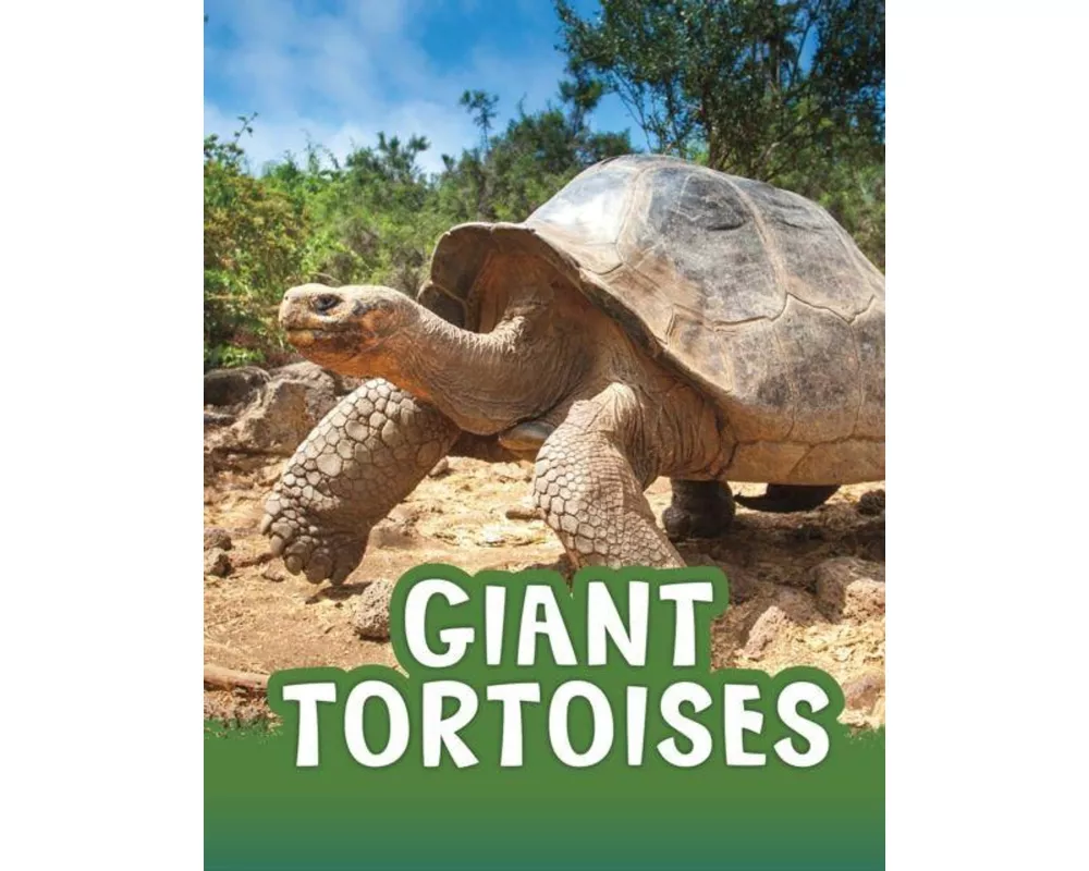 Giant Tortoises