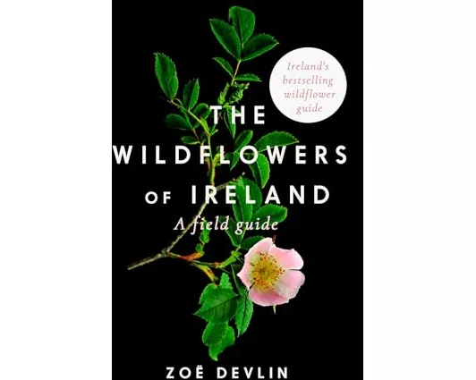 The Wildflowers of Ireland