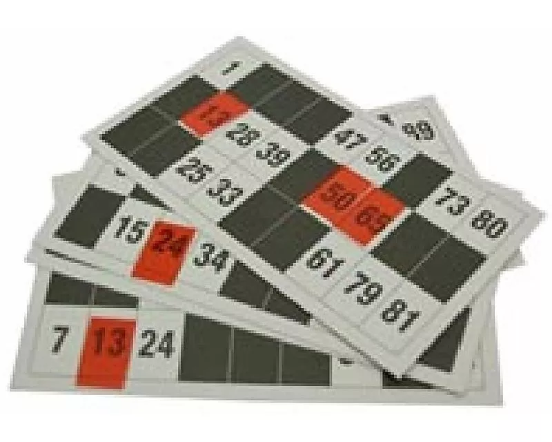 24 Zahlenlottokarten