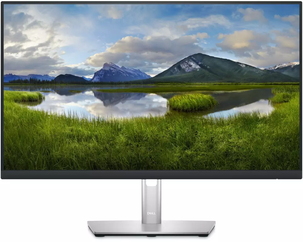 DELL Monitor P2423D