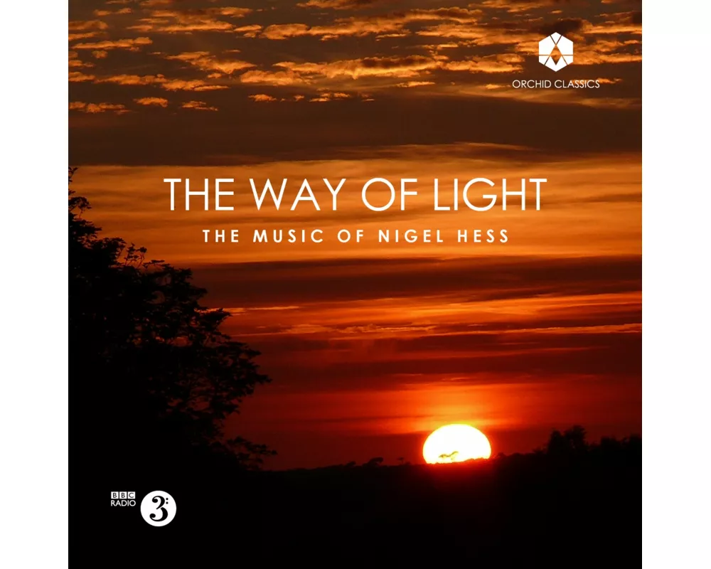 The Way of Light