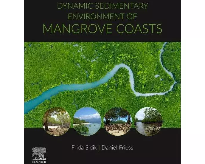 Dynamic Sedimentary Environments of Mangrove Coasts