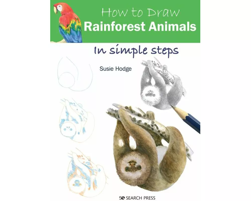 How to Draw Rainforest Animals in Simple Steps