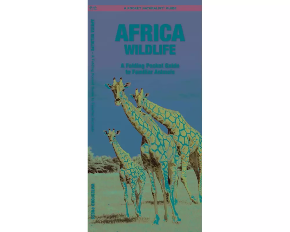 African Wildlife