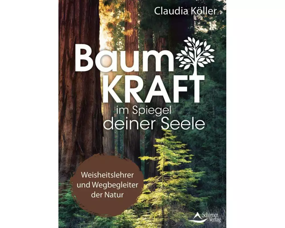 Baumkraft im Spiegel deiner Seele