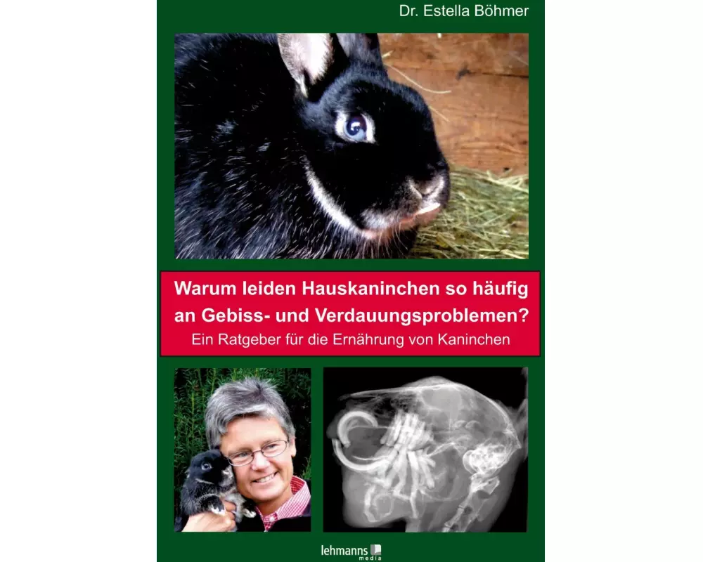 Warum leiden Hauskaninchen so häufig an Gebiss- und Verdauungsproblemen?