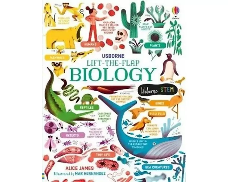 Lift-the-Flap Biology