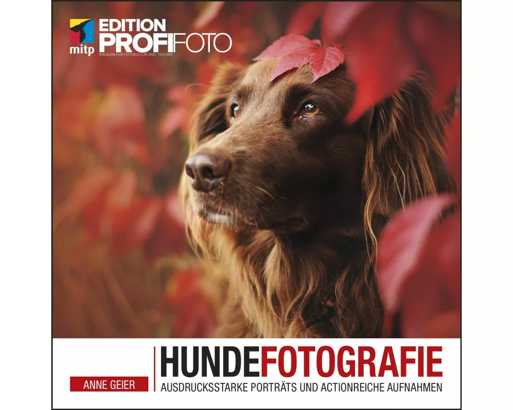 Hundefotografie