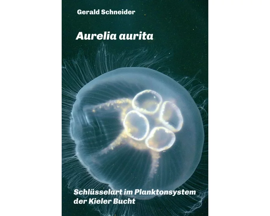 Aurelia aurita