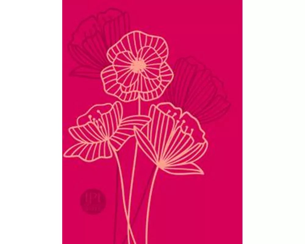 The Passion Translation New Testament (2020 Edition) Compact Fuchsia