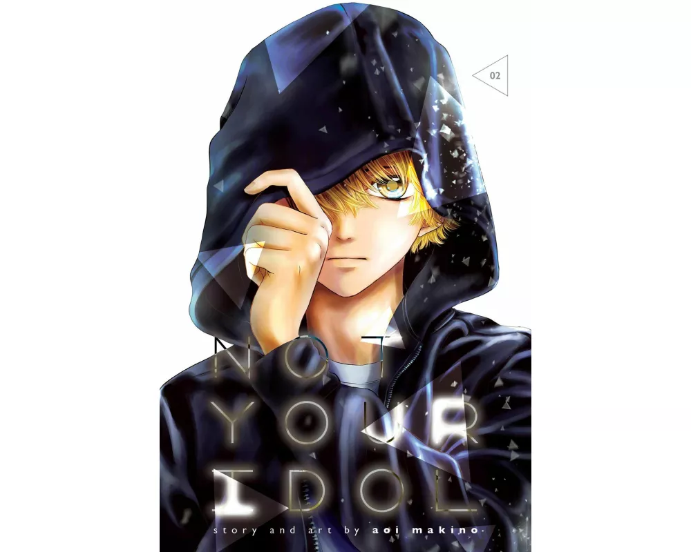 Not Your Idol, Vol. 2